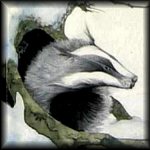 Badger
